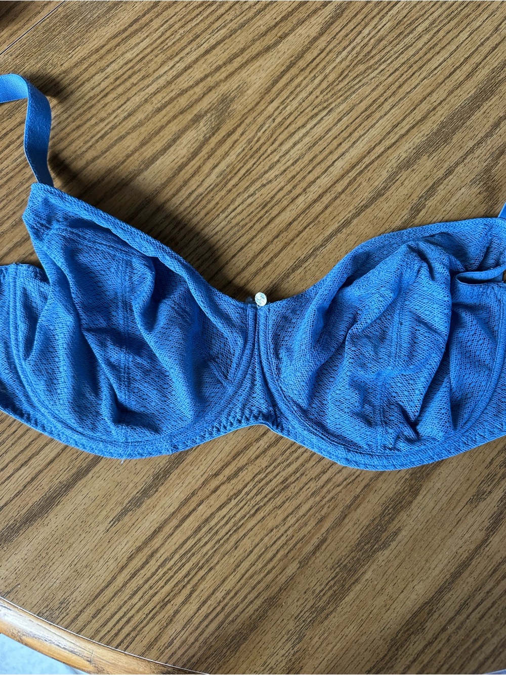 Everyday Blue Underwire Bra with underwire Support. 36i